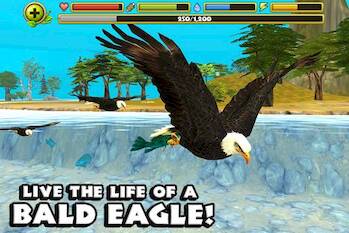 Eagle Simulator 
