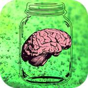 Big Brains in Little Jars