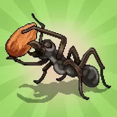 Скачать взломанную Pocket Ants: Colony Simulator (Покет Муравьи)  [МОД Unlocked] - полная версия apk на Андроид