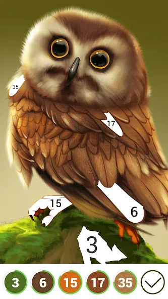 Hola Color--Coloring by Number (ола калор)  [МОД Много денег] Screenshot 3