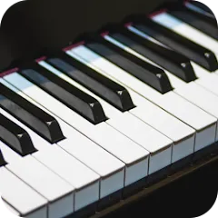 Взломанная Real Piano (Реал Пиано)  [МОД Unlimited Money] - стабильная версия apk на Андроид