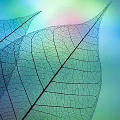 Скачать взломанную 780 words (семьсот восемьдесят)  [МОД Mega Pack] - стабильная версия apk на Андроид