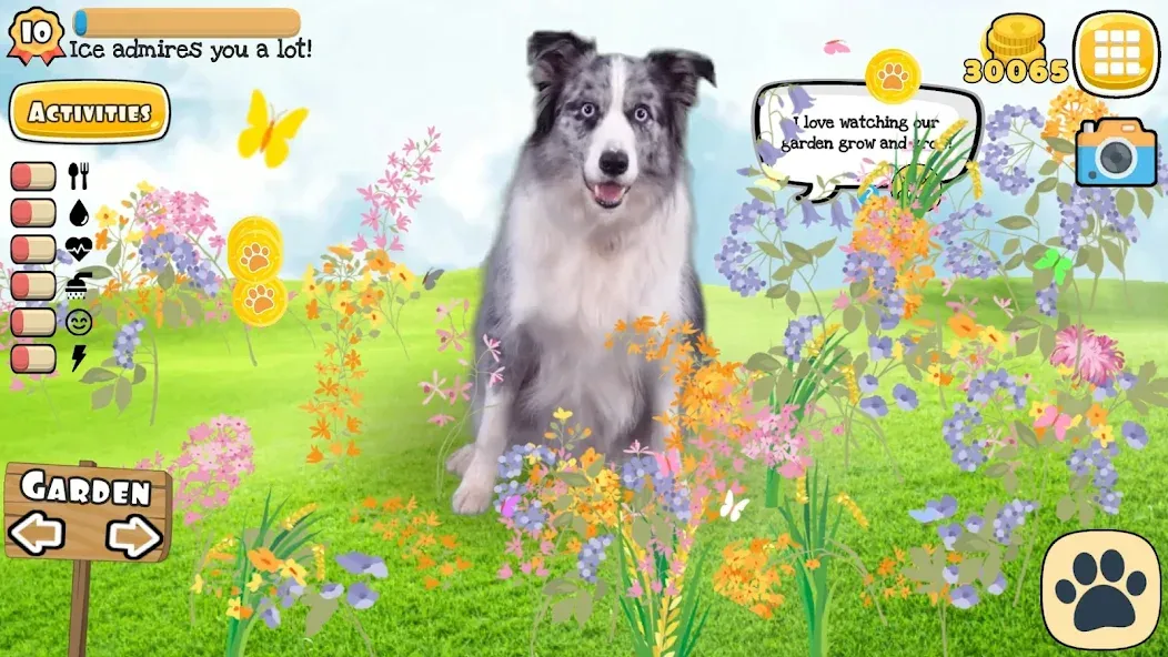 Adopt a pet : Corgi Games (Риал Петс бай Фруви)  [МОД Mega Pack] Screenshot 4