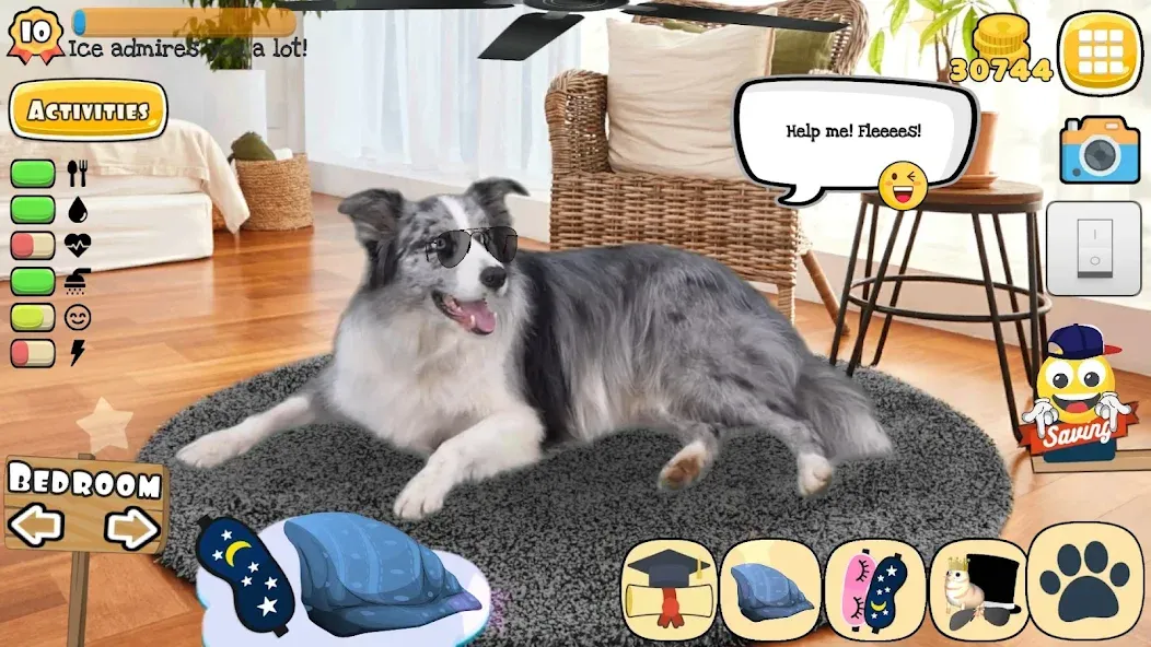 Adopt a pet : Corgi Games (Риал Петс бай Фруви)  [МОД Mega Pack] Screenshot 5