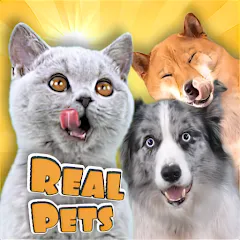 Скачать взлом Adopt a pet : Corgi Games (Риал Петс бай Фруви)  [МОД Mega Pack] - стабильная версия apk на Андроид