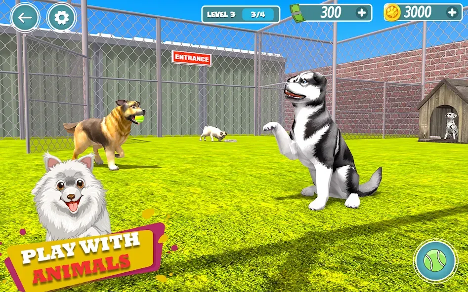 My Pet Animal Shelter World  [МОД Все открыто] Screenshot 1