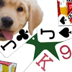 Взломанная K9 Euchre (К9 Юкер)  [МОД Mega Pack] - стабильная версия apk на Андроид