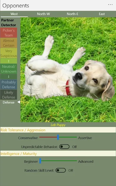 K9 Sheepshead (Schafkopf) (Шипсхед)  [МОД Много монет] Screenshot 5