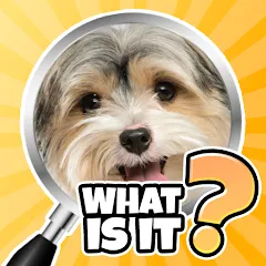 Взлом What is it? Pics Trivia Quiz  [МОД Много монет] - полная версия apk на Андроид