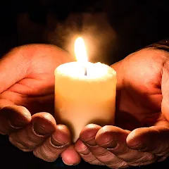 Взлом Cozy Words  [МОД Меню] - стабильная версия apk на Андроид