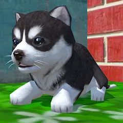 Скачать взломанную Cute Pocket Puppy 3D (Сьют Покет Паппи 3Д)  [МОД Много монет] - последняя версия apk на Андроид