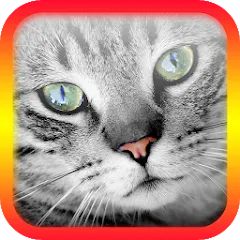 Взломанная Translator for Cats Prank  [МОД Menu] - последняя версия apk на Андроид