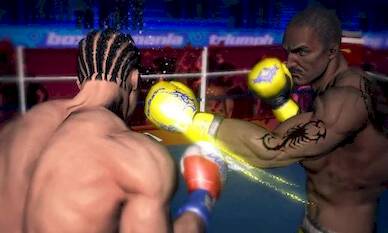   - Punch Boxing 3D 