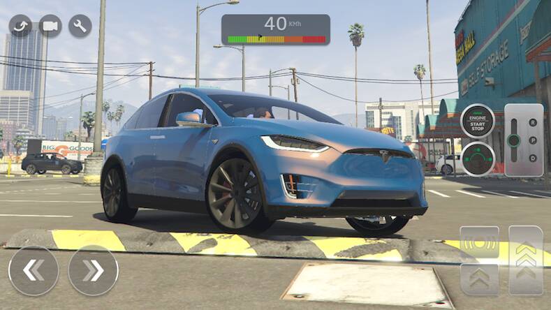 Tesla Model X Master Driver