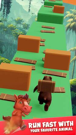 Animals & Coins Adventure Game