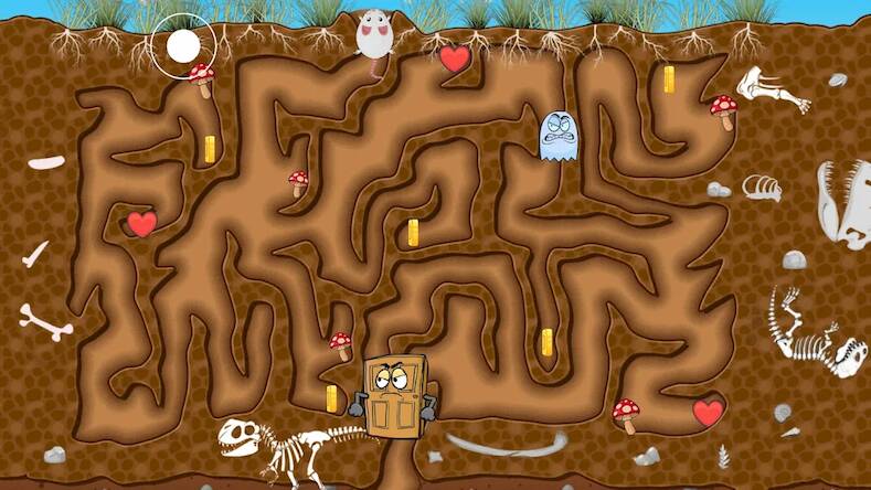 Mouse Maze