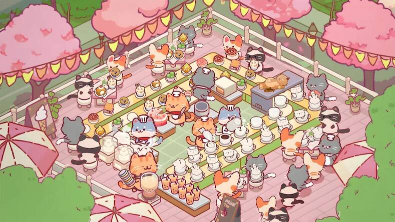 Cat Restaurant