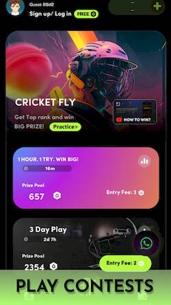 Cricket Fly x Gamifly