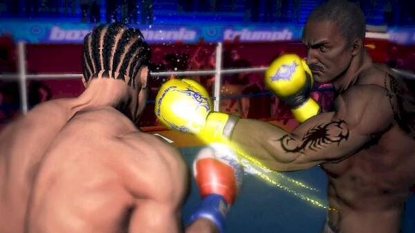   - Punch Boxing 3D