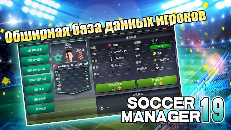 Soccer Manager 2019 - SE/