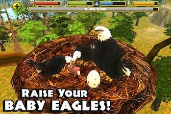 Eagle Simulator™ 