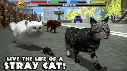 Stray Cat Simulator 