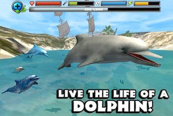 Dolphin Simulator 